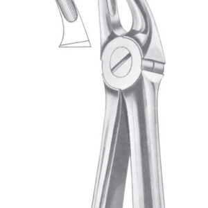 Fig. 7 upper premolars