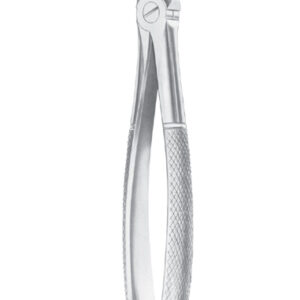 Fig. 20 upper third molars
