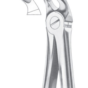 Fig. 21 lower molars