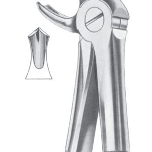 Fig. 22 lower molars
