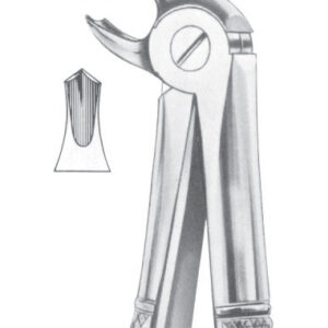Fig. 22S lower molars for children