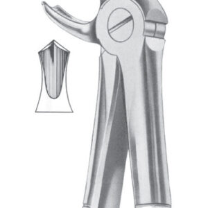 Fig. 22G lower molars
