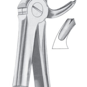 Fig. 23 lower molars right