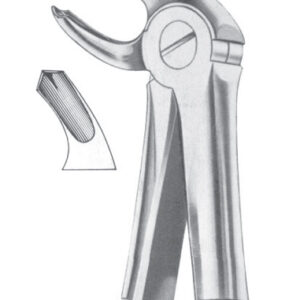 Fig. 24 lower molars left