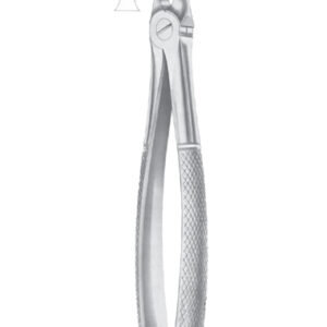 Fig. 29 upper roots