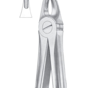 Fig. 29S upper roots for children
