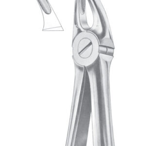 Fig. 30 upper roots