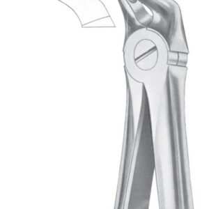 Fig. 31 lower roots