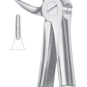 Fig. 33A lower roots