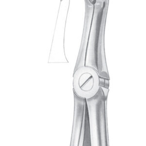 Fig. 49 upper roots