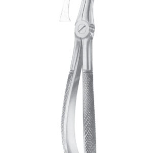 Fig. 50 upper roots