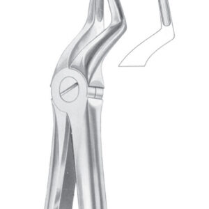 Fig. 51A upper roots