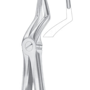 Fig. 51L upper roots