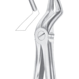 Fig. 52 upper roots