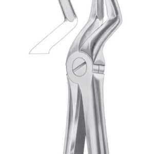 Fig. 52A upper teeth and resection