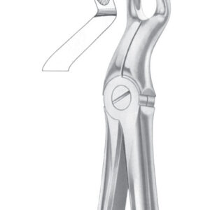 Fig. 67A upper third molars