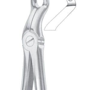 Fig. 67 ½L upper third molars left