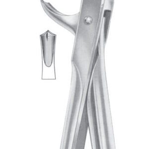 Fig. 73 lower molars