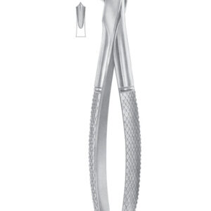 Fig. 73A lower molars