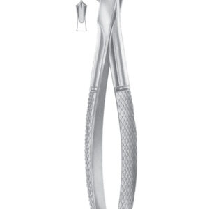 Fig. 73K lower molars for children