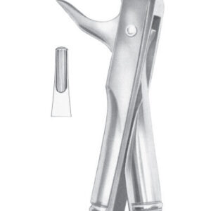 Fig. 81 lower premolars and roots