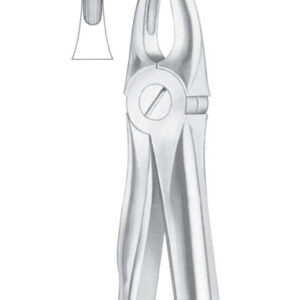 Fig. 2 upper laterals and canines