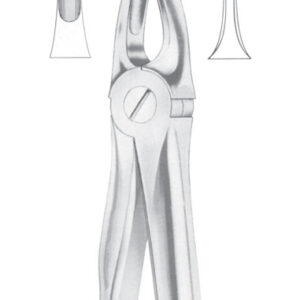Fig. 3 upper incisors and canines