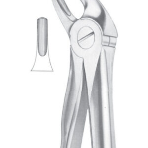 Fig. 4 lower incisors and canines