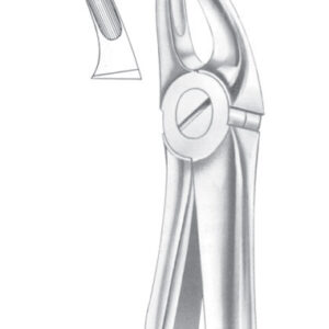 Fig. 7 upper premolars