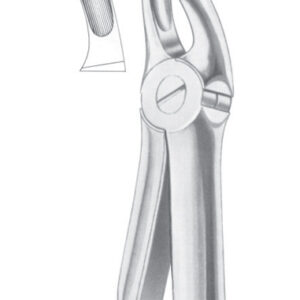 Fig. 18 upper molars left