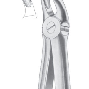 Fig. 18A upper molars
