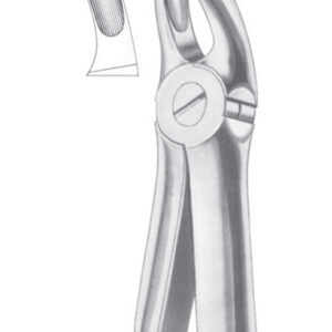 Fig. 18B upper molars