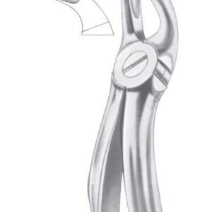 Fig. 19 upper third molars