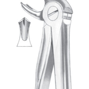 Fig. 22 lower molars