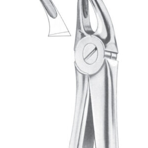 Fig. 30 upper roots