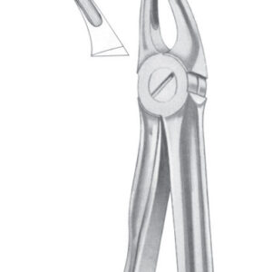 Fig. 30S upper roots for children
