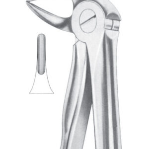 Fig. 33 lower roots