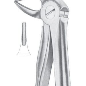 Fig. 33A lower roots