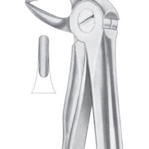 Fig. 33B lower roots