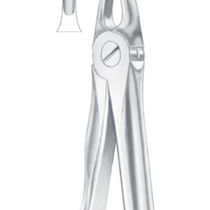 Fig. 37 upper incisors for children