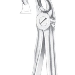 Fig. 39 upper incisors for children