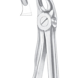Fig. 39A upper molars for children
