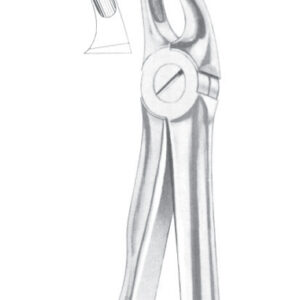 Fig. 39L upper molars left for children