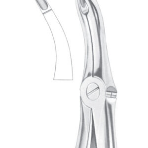Fig. 44 upper roots