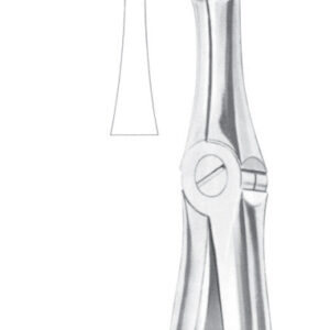 Fig. 45 lower roots