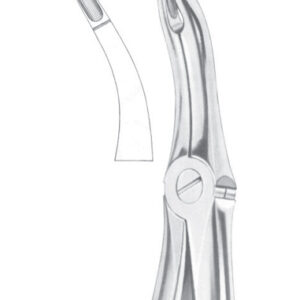 Fig. 48 lower roots