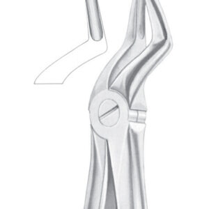 Fig. 51 upper roots