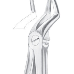 Fig. 51A upper roots