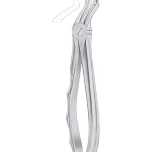 Fig. 51L upper roots
