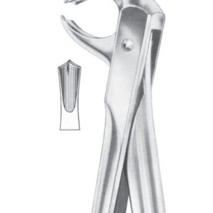 Fig. 73 lower molars